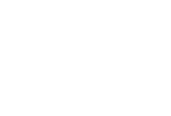 Esquema gestión de turnos básico